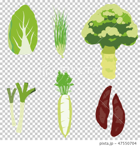 冬野菜 イラストセット2 -Winter vegetable illustration set2- 冬野菜 イラストセット2 -Winter vegetable illustration set2- 47550704