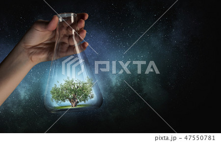 Tree in glass flask Tree in glass flask 47550781