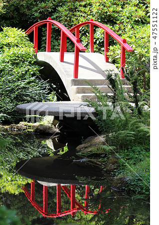 Red bridge in the Japanese garden 47551122
