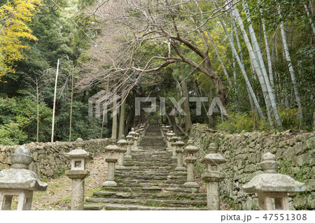 対馬万松院 対馬万松院 47551308
