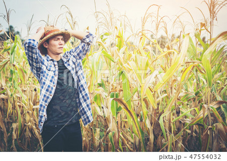 smart farmer using technology in agriculture field smart farmer using technology in agriculture field 47554032
