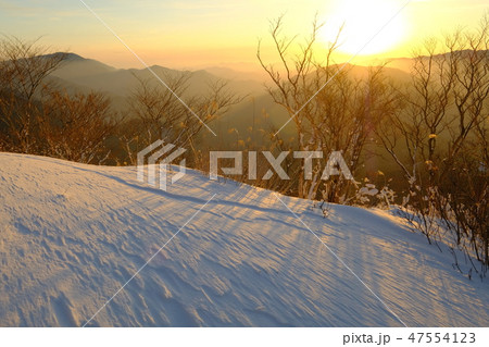 高見山の冬の夜明け(奈良県吉野郡東吉野村) 高見山の冬の夜明け(奈良県吉野郡東吉野村) 47554123