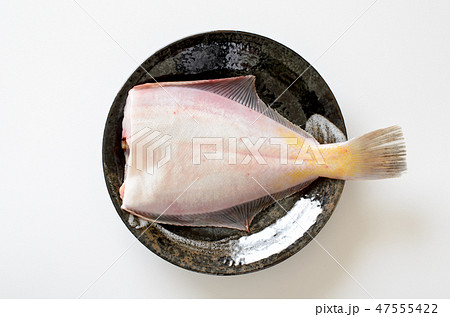 真ガレイ 真ガレイ 47555422