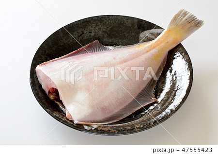 真ガレイ 47555423