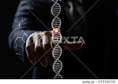 DNA DNA 47556239