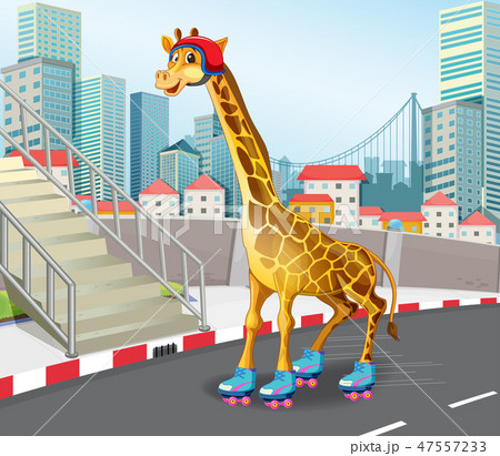 Giraffe playing roller skate Giraffe playing roller skate 47557233