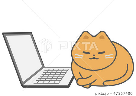 猫とパソコン 47557400