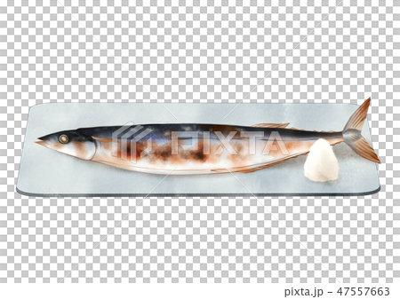 pike 47557663