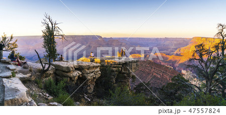 panorama of grand canyon at sunset,Arizona,usa. 47557824