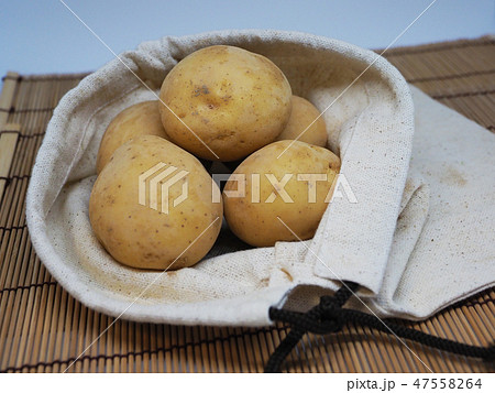 オーガニック素材（ジャガイモ：自然質感） 47558264