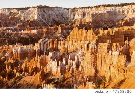 Bryce canyon national park,when sunrise,Utah,usa. Bryce canyon national park,when sunrise,Utah,usa. 47558280