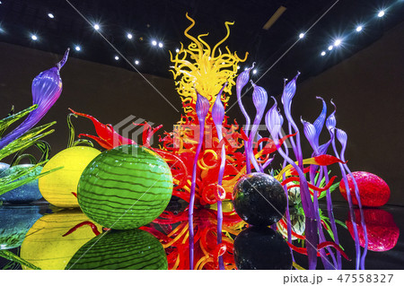 Chihuly garden and glass museum.seattle,wa,usa. 47558327