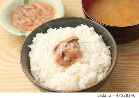 塩辛 47558346