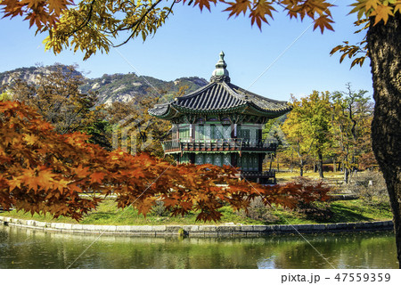 香遠亭 古建築 池 47559359
