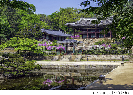 昌徳宮 古建築 池 47559367