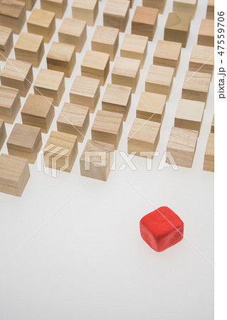 マイノリティのイメージ 47559706