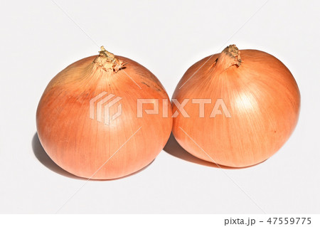 玉ネギ（北見黄） 47559775