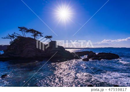 （神奈川県）荒崎海岸 47559817