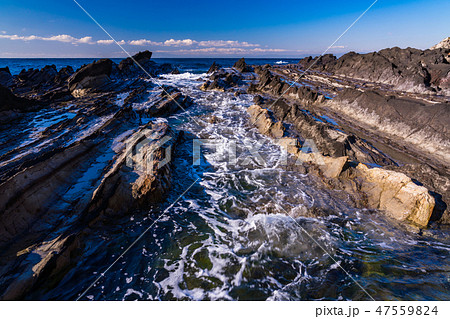 (神奈川県)荒崎海岸 (神奈川県)荒崎海岸 47559824