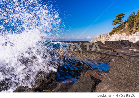 （神奈川県）荒崎海岸 47559826