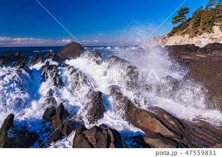 (神奈川県)荒崎海岸 (神奈川県)荒崎海岸 47559831