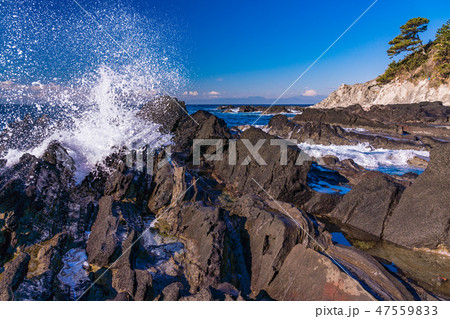 (神奈川県)荒崎海岸 (神奈川県)荒崎海岸 47559833