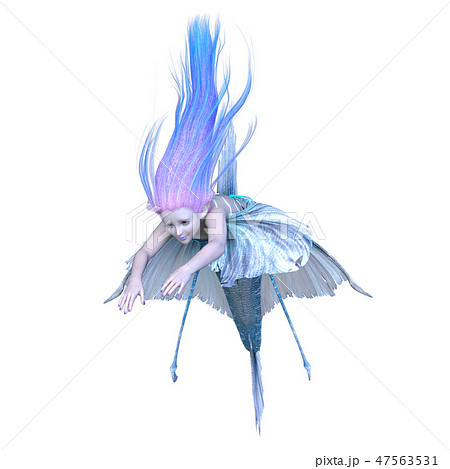 人魚 47563531