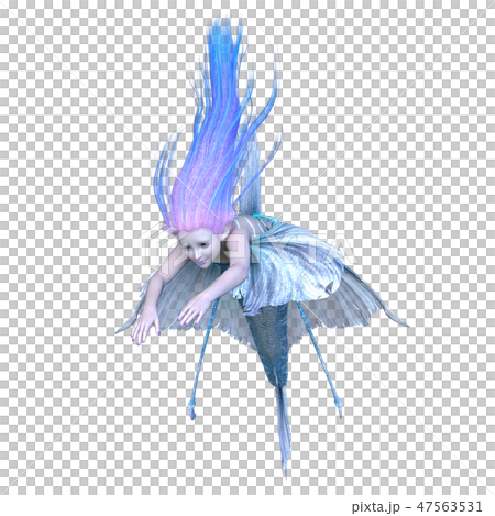 人魚 47563531