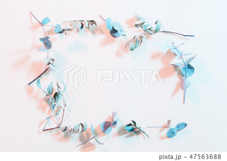 dried foliage layout inverted color stems frame dried foliage layout inverted color stems frame 47563688