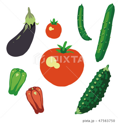夏野菜 イラストセット1 Summer Vegetable Illustration Set1 のイラスト素材
