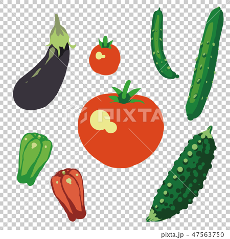 夏野菜 イラストセット1 Summer Vegetable Illustration Set1 のイラスト素材