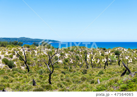 Landscape view on the way to Cave beach Landscape view on the way to Cave beach 47564065