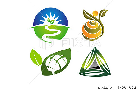 Leaf Template Vector Set 47564652