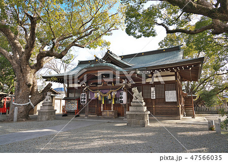 【金岡神社】 大阪府堺市北区金岡町 【金岡神社】 大阪府堺市北区金岡町 47566035
