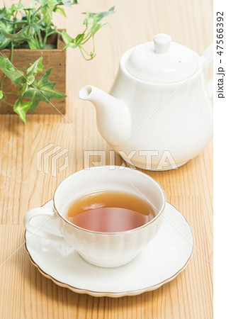 ティーセット インフルエンザ予防 紅茶 ティーセット インフルエンザ予防 紅茶 47566392