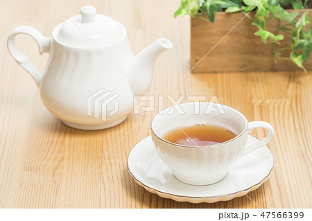 ティーセット　インフルエンザ予防　紅茶　 47566399