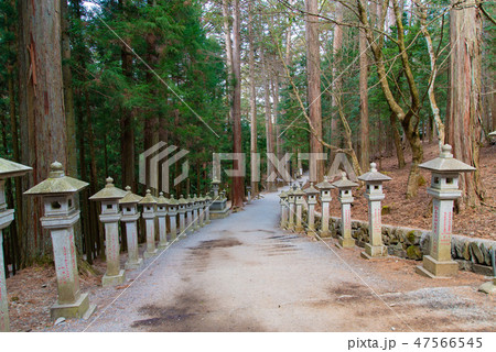 三峯神社 11 三峯神社 11 47566545