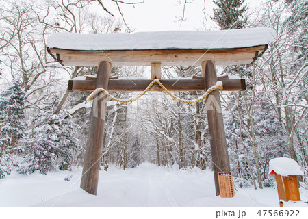 戸隠神社 1 戸隠神社 1 47566922