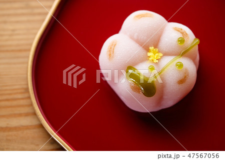 上生菓子・梅が枝 47567056