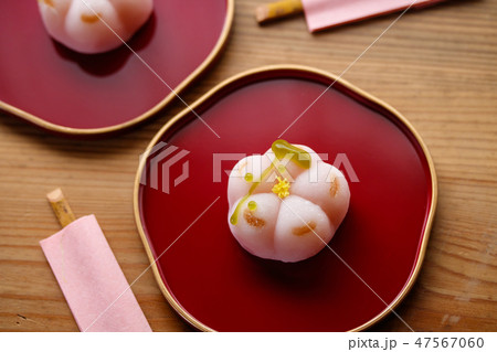 上生菓子・梅が枝 上生菓子・梅が枝 47567060