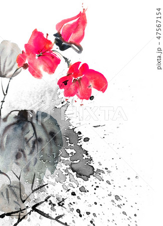 Watercolor painted flower Watercolor painted flower 47567154