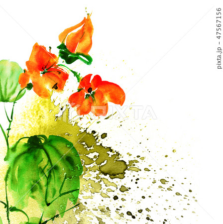 Watercolor painted flower Watercolor painted flower 47567156