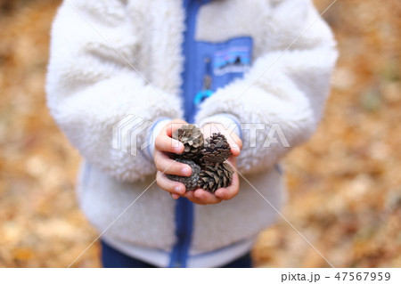 松ぼっくりを持つ子供 47567959