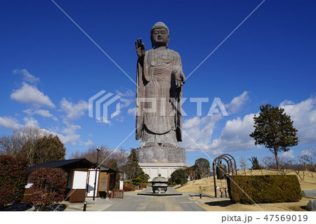 1月　牛久大仏11阿弥陀仏 47569019