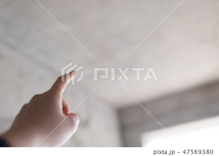 image photo 47569380