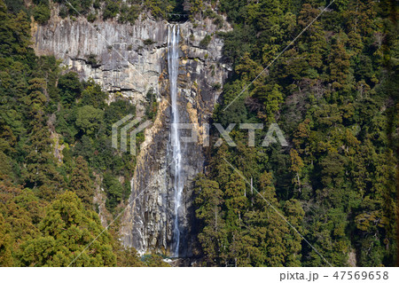 那智の滝 47569658