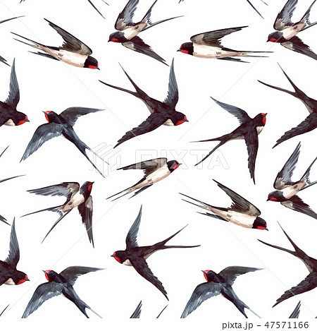 Watercolor swallow vector pattern 47571166