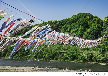 【泳げ鯉のぼり　相模川】 47571534
