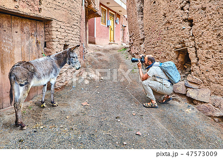 The tourist photographs an ass in Abyaneh village 47573009