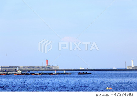 三崎漁港 47574992